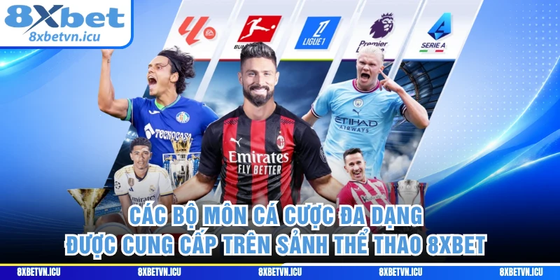 Các bộ môn cá cược đa dạng được cung cấp trên sảnh thể thao 8XBET