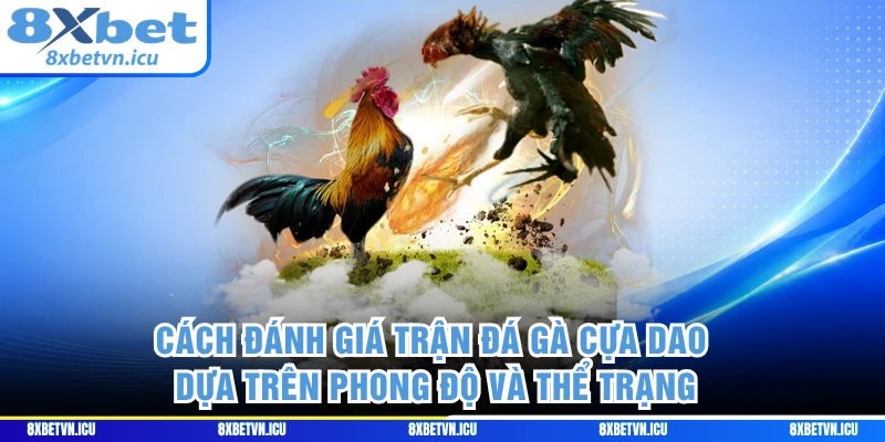 Cách đánh giá trận đá gà cựa dao dựa trên phong độ và thể trạng 