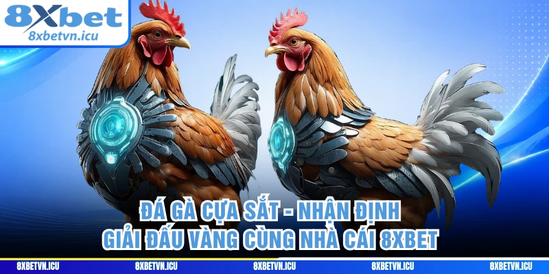 Đá Gà Cựa Sắt - Nhận Định Giải Đấu Vàng Cùng Nhà Cái 8XBET