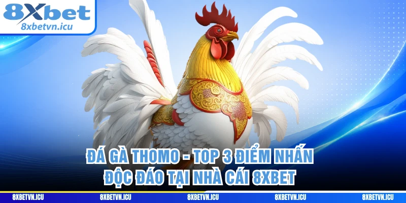 Đá Gà Thomo - Top 3 Điểm Nhấn Độc Đáo Tại Nhà Cái 8XBET