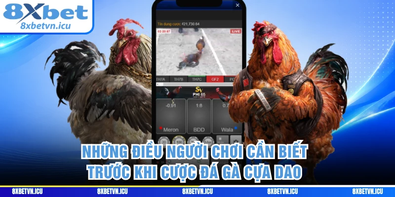 Những điều người chơi cần biết trước khi cược đá gà cựa dao 