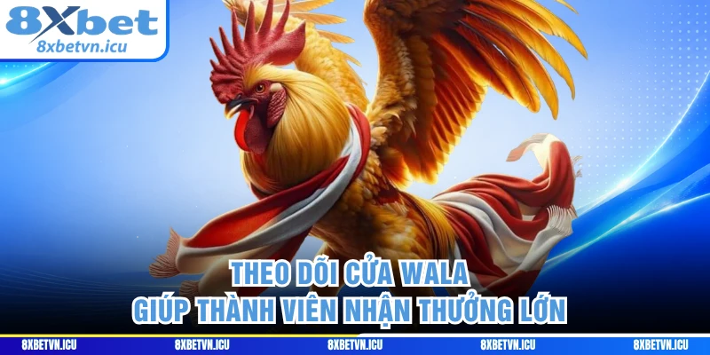 Theo dõi cửa Wala giúp thành viên nhận thưởng lớn